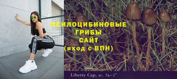 MDMA Белокуриха