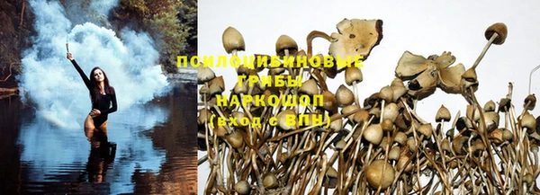 гашик Белоозёрский